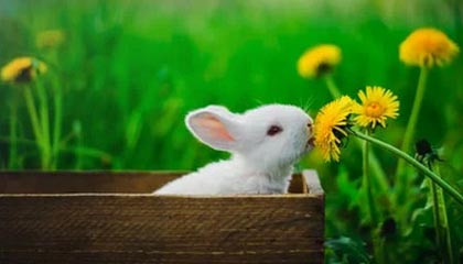 kaiyun-皇马引援不断，力求在欧冠中再创辉煌