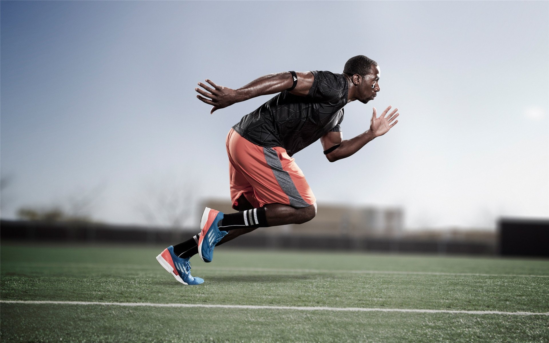 开云体育网址-鹈鹕场边工作人员谈主场氛围塑造秘诀，鹈鹕的主场